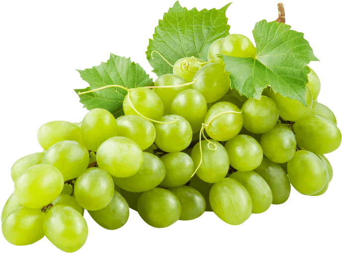 Namaqua cultivar grapes