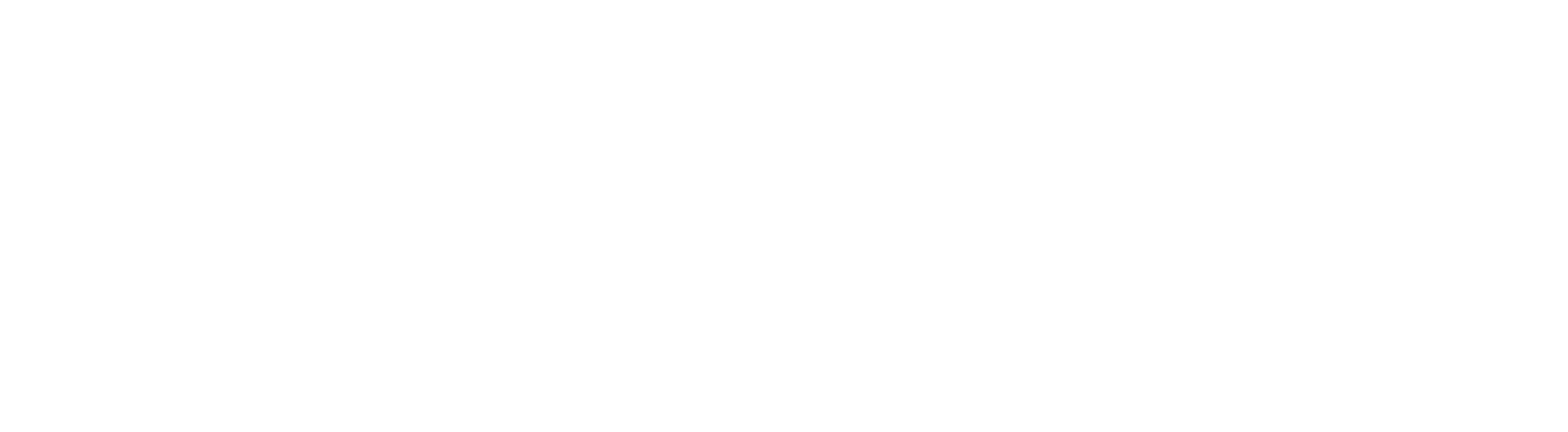 Namaqua Wines Logo White