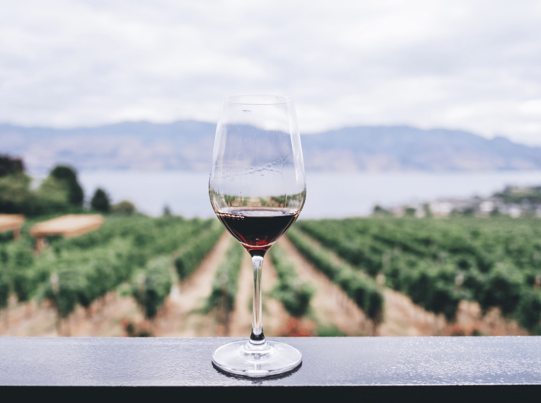 Namaqua Wines Website (4) Namaqua Wines Website (4)